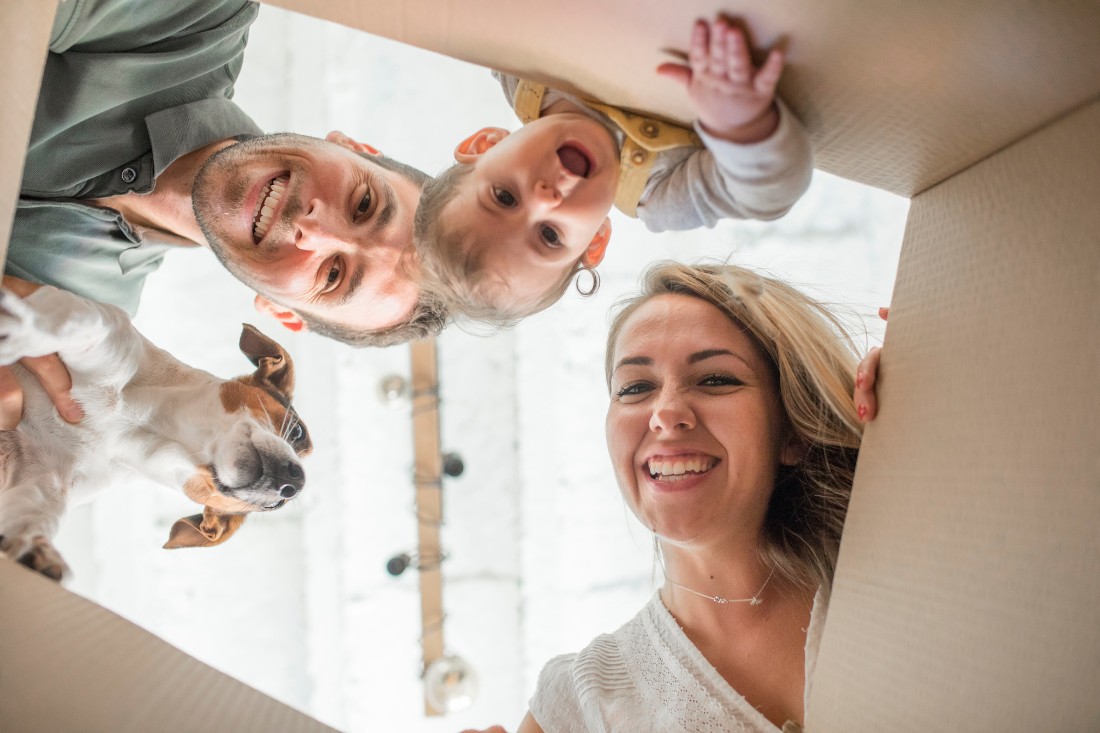 Countdown to be in your new home by Christmas Main Image